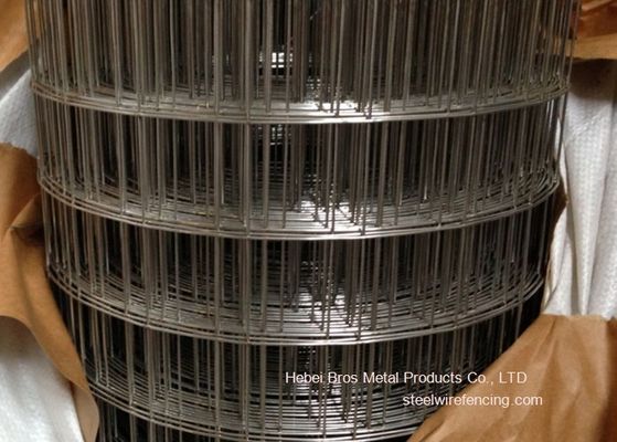Китай 304 3/4 нержавеющих сталей сварили ячеистую сеть для конструкции, анти- корозии поставщик