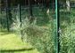 Изогнутая сетка сада металла ограждая порошок распылила гнуть темную ую-зелен проволочную изгородь поставщик