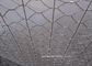 Горячее окунутое гальванизированное шестиугольное сплетенное плетение провода для клетки птицы поставщик