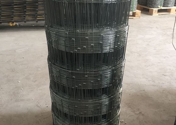 Китай Гальванизированная Электро сетка проволочной изгороди скотин сплетя с Дя 1.8-3.0мм поставщик
