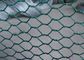 Ограждать загородки/мелкоячеистой сетки ячеистой сети Габион птицы обшивает панелями переплетенное двух- поставщик