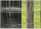 Гальванизированная проволочная изгородь скотин злаковика/исправила сплетенная узлом загородка оленей для выгона поставщик